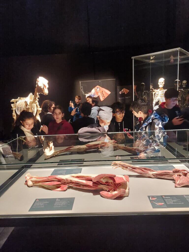 Gerçek Hayvan Anatomi Sergisi Gezisi